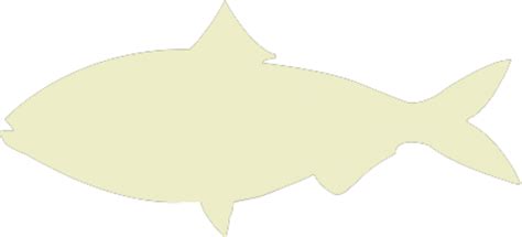 Diadromy – Dedicated to the knowledge and understanding of fish .